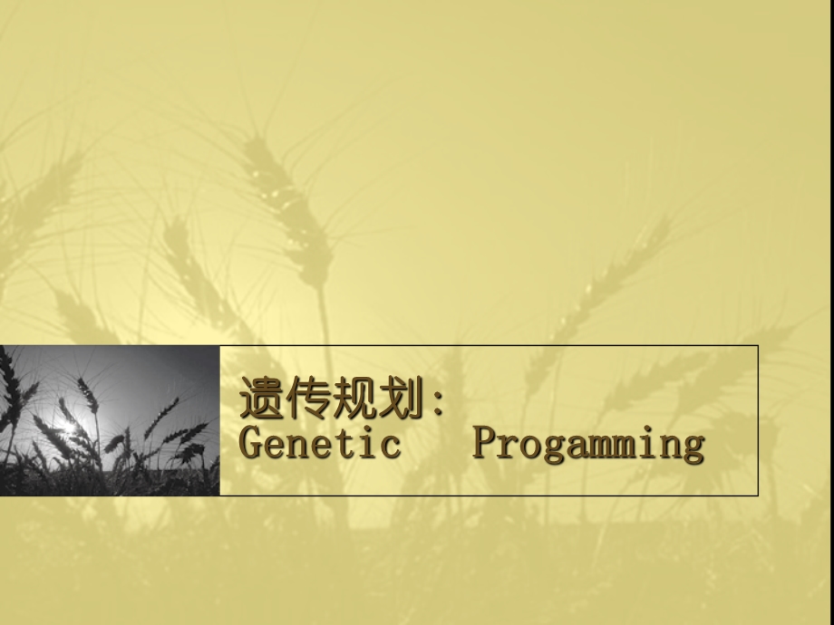 遗传规划GeneticProgramming.ppt_第1页