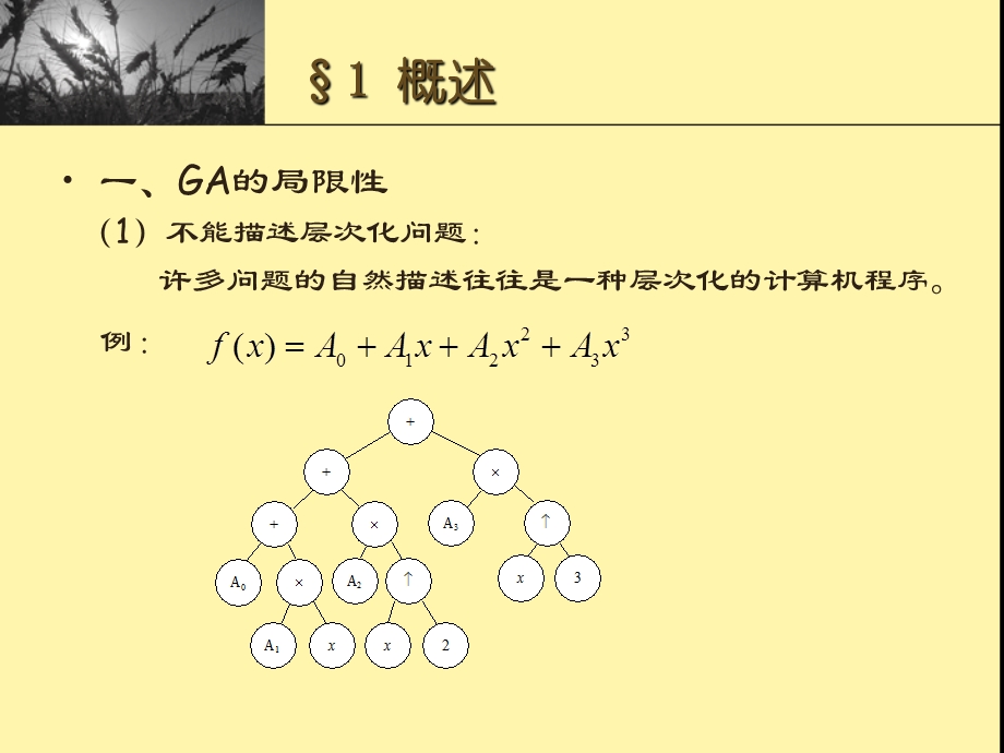 遗传规划GeneticProgramming.ppt_第2页