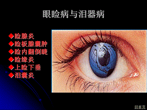 《眼睑病与泪器病》PPT课件.ppt