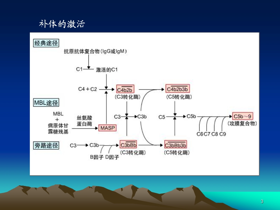 血清补体测定的.ppt_第3页