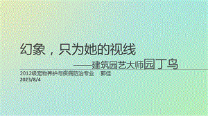 《园丁鸟品种介绍》PPT课件.ppt