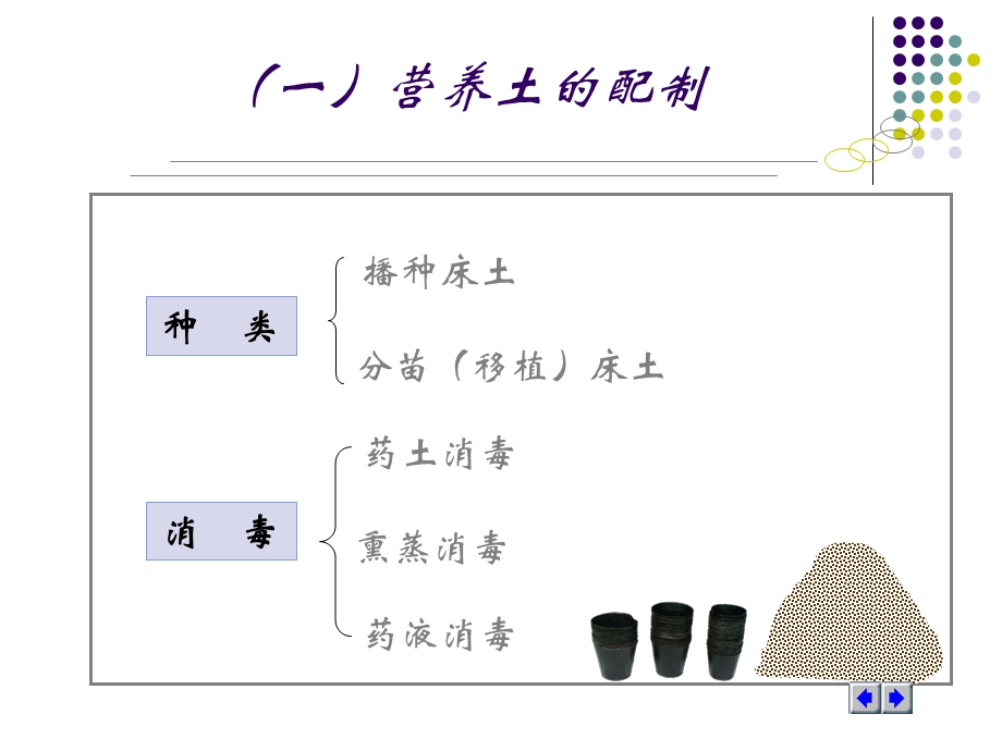 《蔬菜育苗技术》PPT课件.ppt_第3页