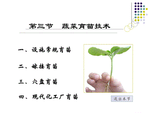 《蔬菜育苗技术》PPT课件.ppt