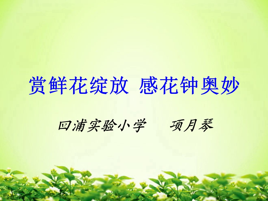 《花钟教材简析》PPT课件.ppt_第1页