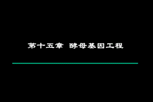 《酵母基因工程》PPT课件.ppt