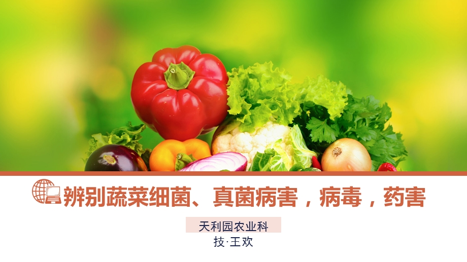 《辨别蔬菜各类病害》PPT课件.ppt_第1页