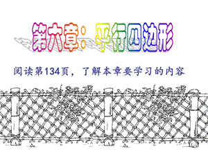 阅读第134页了解本章要学习的内容.ppt