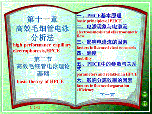 第十一部分高效毛细管电泳分析法教学课件.ppt