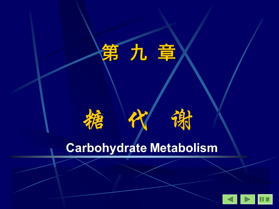 【教学课件】第九章糖代谢.ppt_第1页