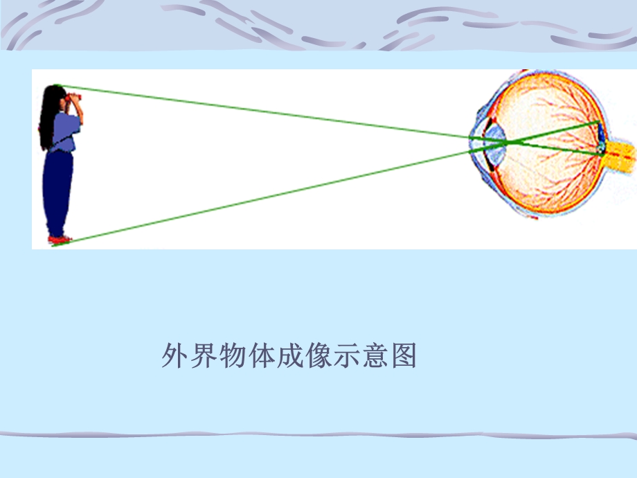 第三节眼凸透镜成像.ppt_第3页