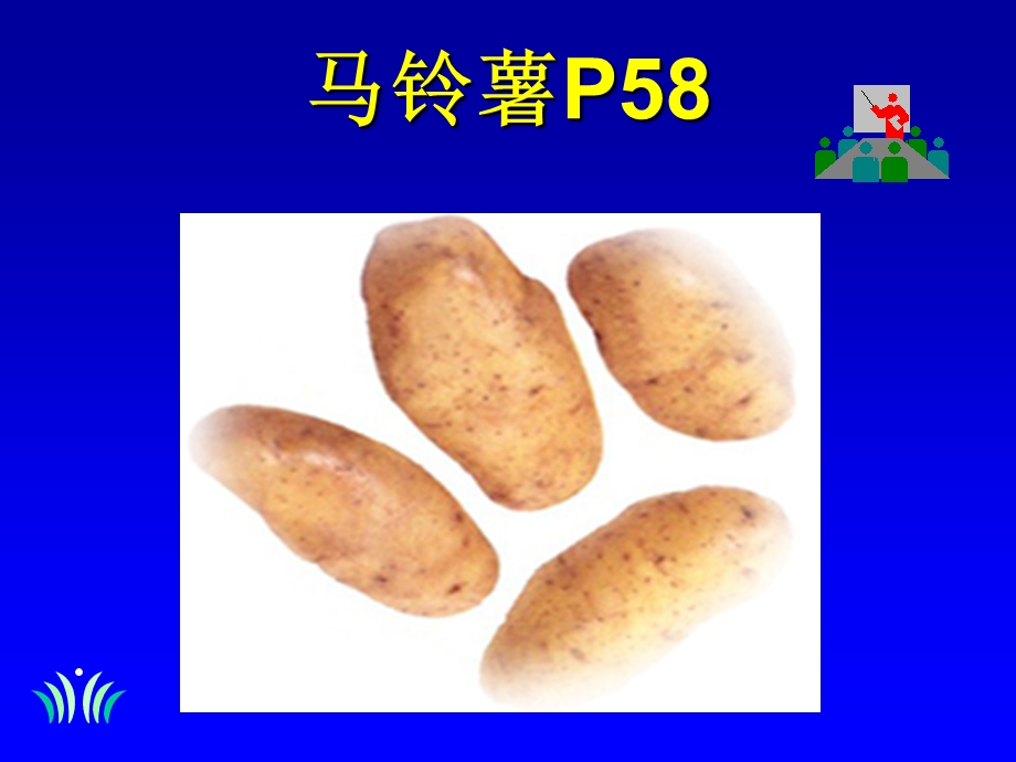 《补气饮食》PPT课件.ppt_第3页