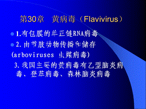 【教学课件】第30章黄病毒(Flavivirus).ppt