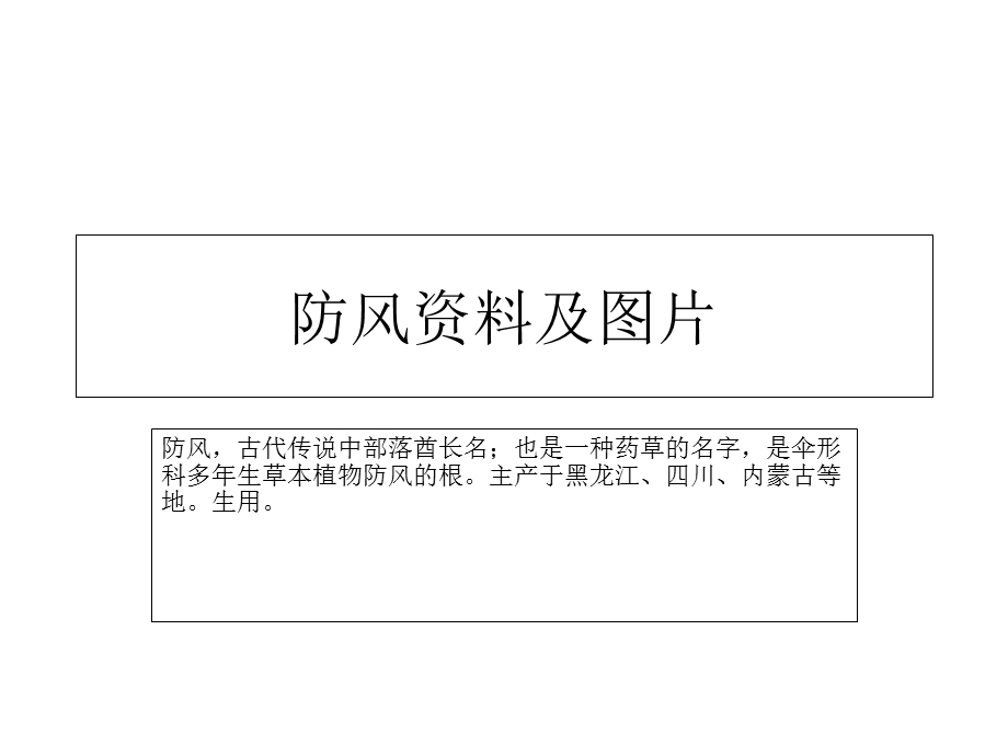 《防风资料及》PPT课件.ppt_第1页