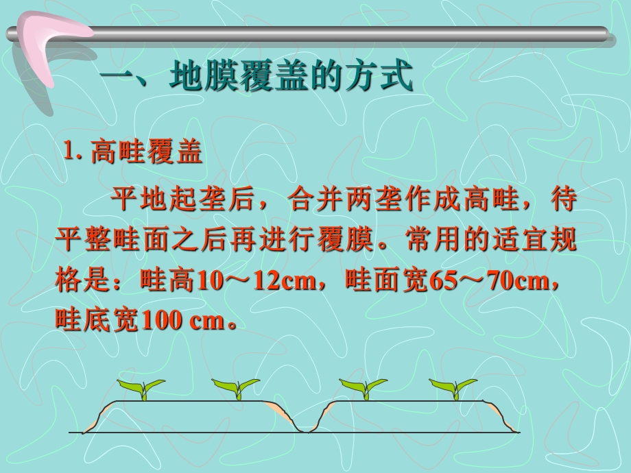 第二部分地膜覆盖SectionIIMulching.ppt_第3页