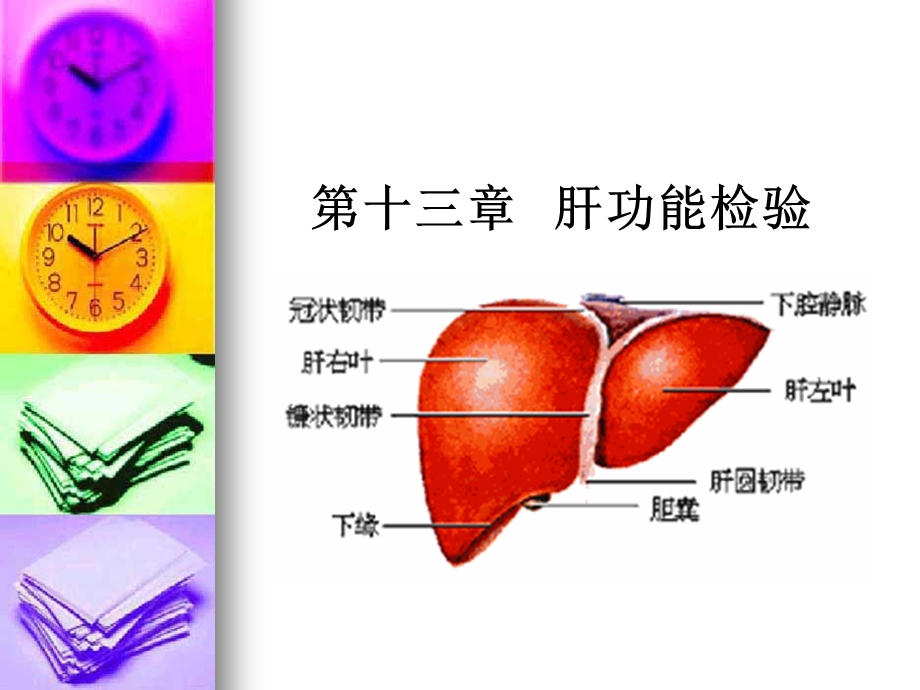 【教学课件】第十三章肝功能检验.ppt_第1页