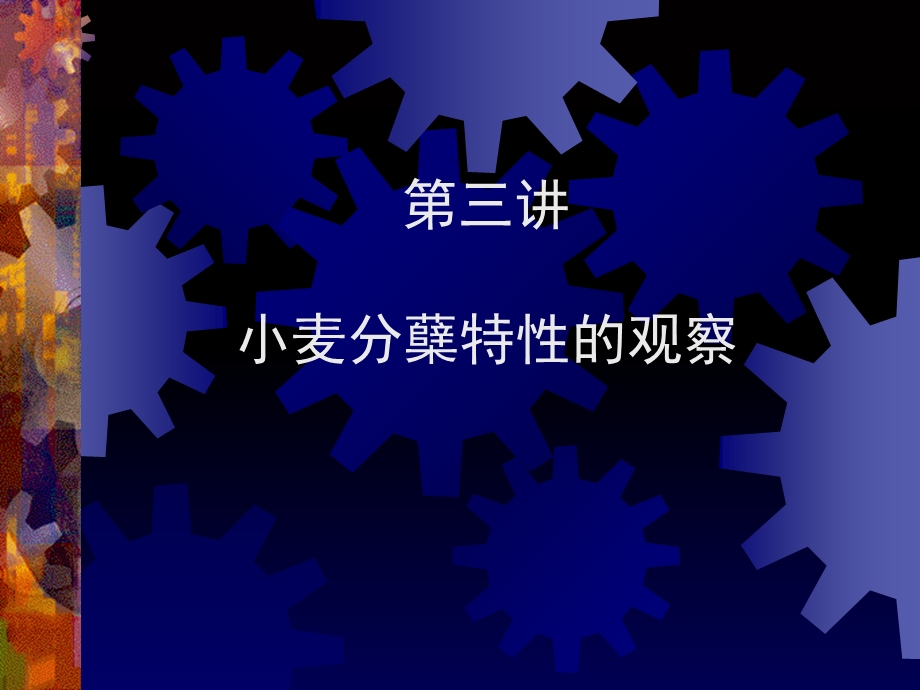 【教学课件】第三讲小麦分蘖特性的观察.ppt_第1页