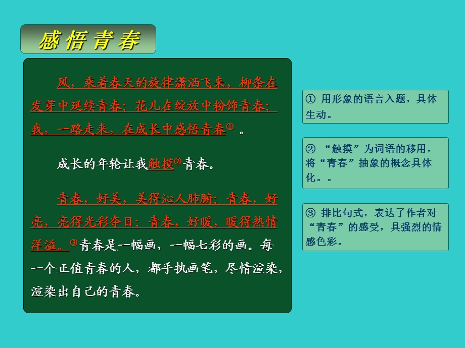 《给语言添色彩》PPT课件.ppt_第3页