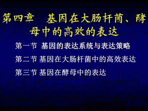 【教学课件】第四章基因在大肠杆菌、酵母中的高效的表达.ppt