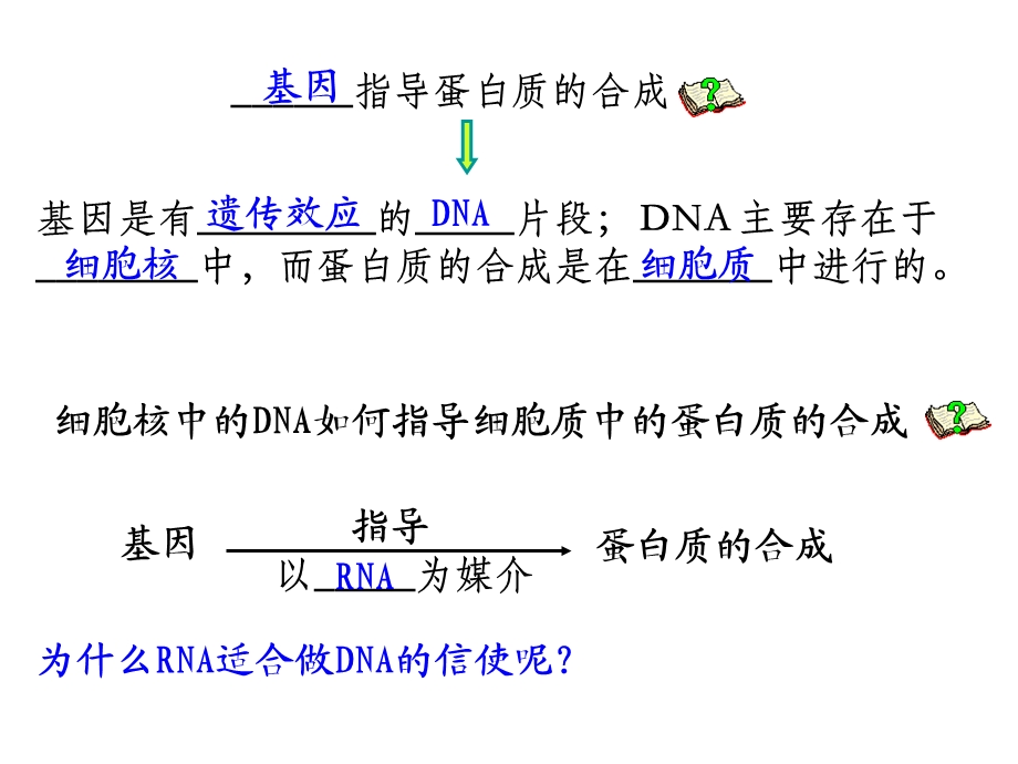 第节基因指导蛋白质的合成.ppt_第3页