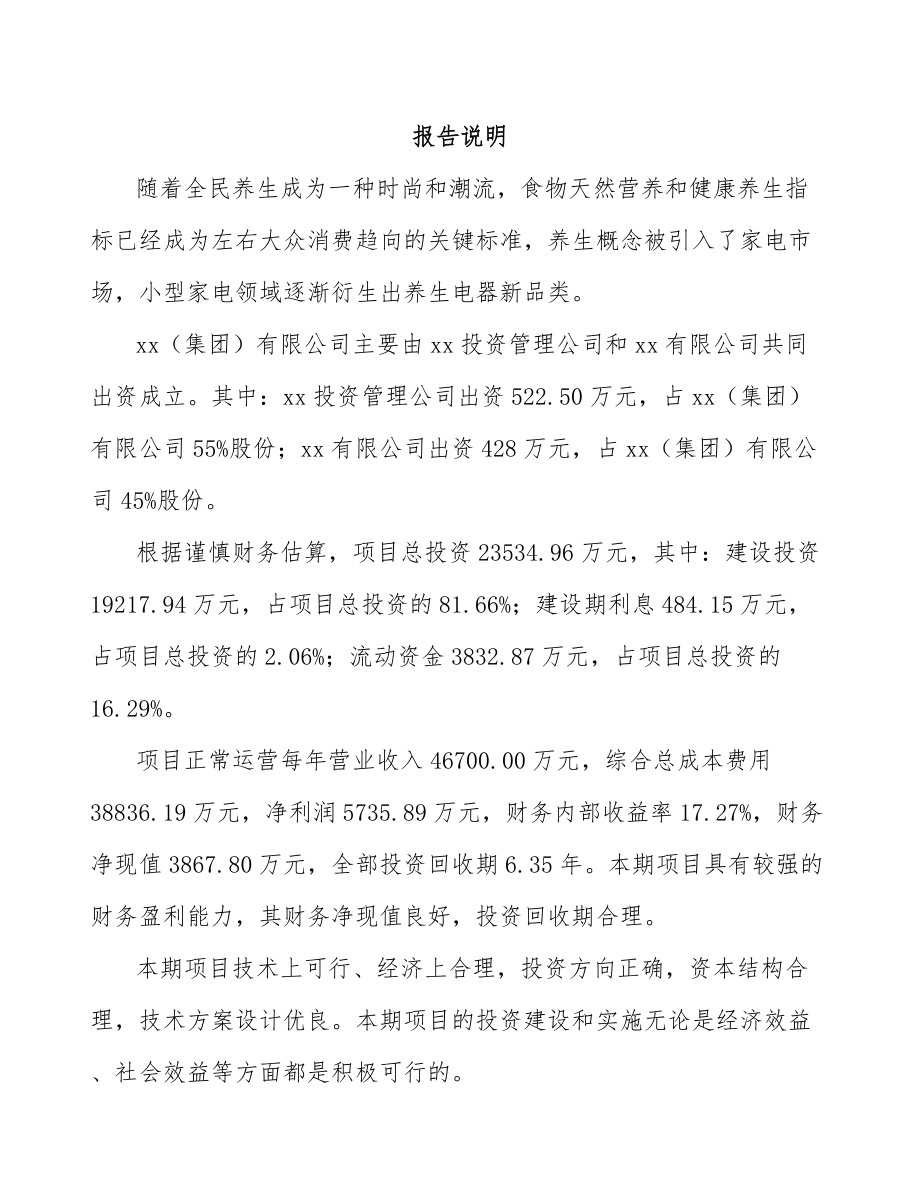 厦门关于成立厨房小家电公司可行性研究报告.docx_第2页