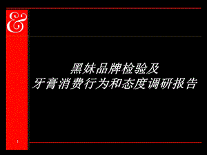 《黑妹调研报告》PPT课件.ppt