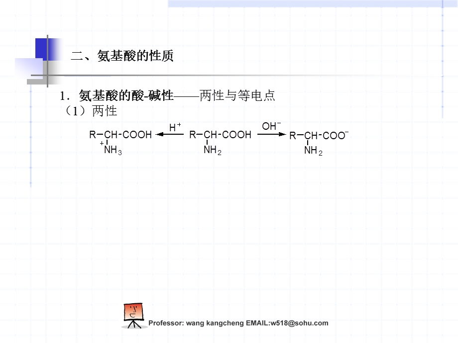 第十九章蛋白质和核酸.ppt_第3页