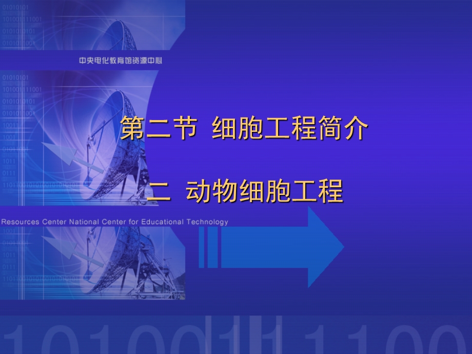 第二节细胞工程简介二动物细胞工程.ppt_第1页