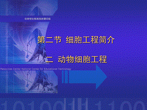 第二节细胞工程简介二动物细胞工程.ppt