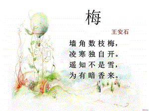 《踏雪寻梅》PPT课件.ppt