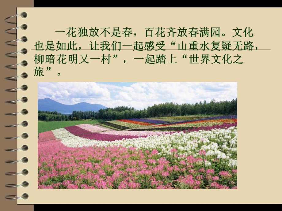 第五课多元文化“地球村”.ppt_第2页