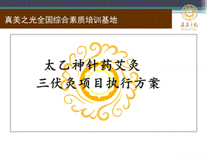 三伏灸项目执行方案.ppt