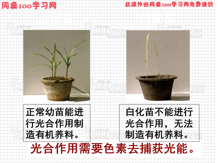 【教学课件】第5章细胞的能量供应和利用.ppt_第2页