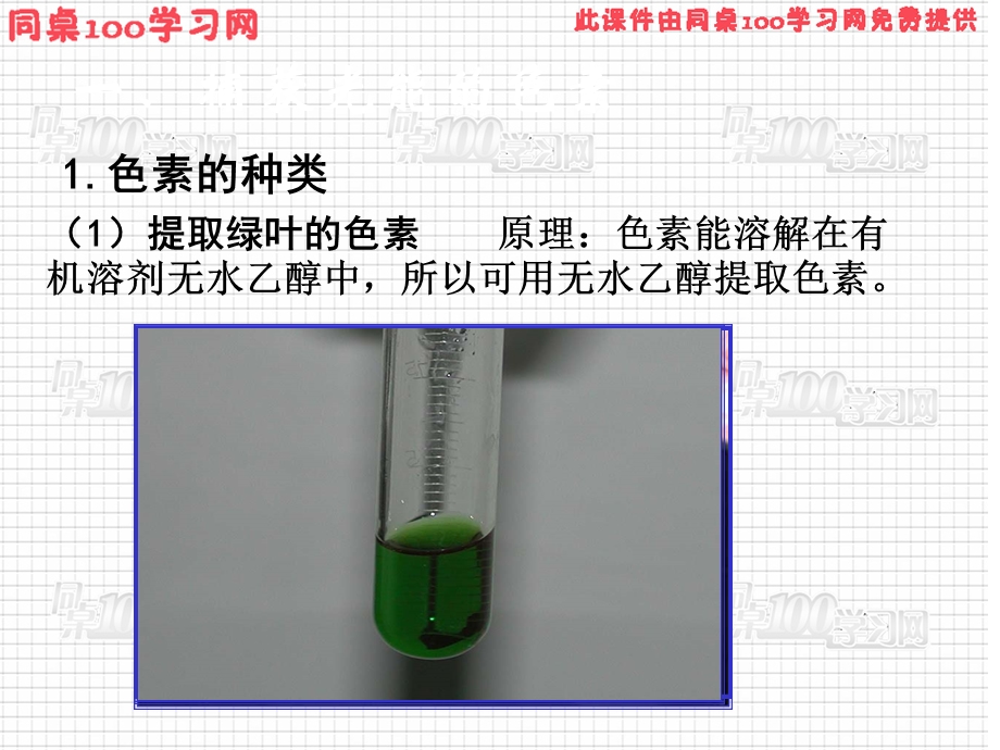 【教学课件】第5章细胞的能量供应和利用.ppt_第3页