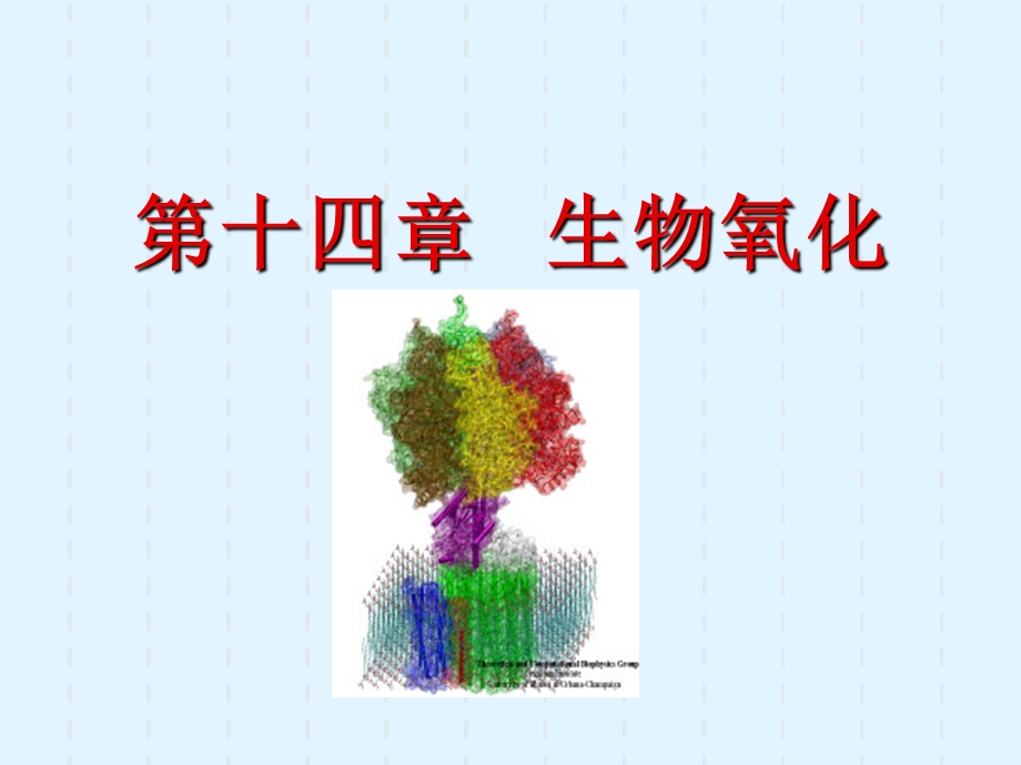 【教学课件】第十四章生物氧化.ppt_第1页