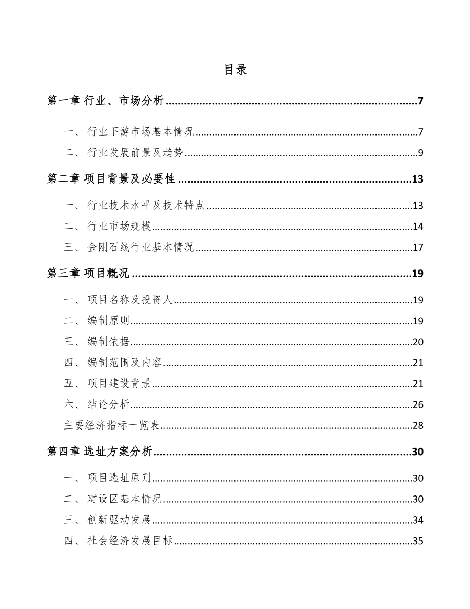 厦门金刚石线项目可行性研究报告.docx_第2页