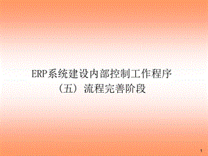 ERP系统内控工作程序流程完善阶段.ppt