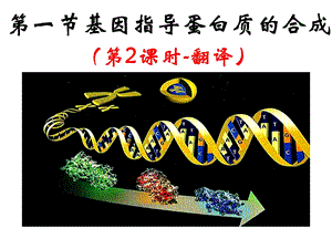 【教学课件】第一节基因指导蛋白质的合成.ppt