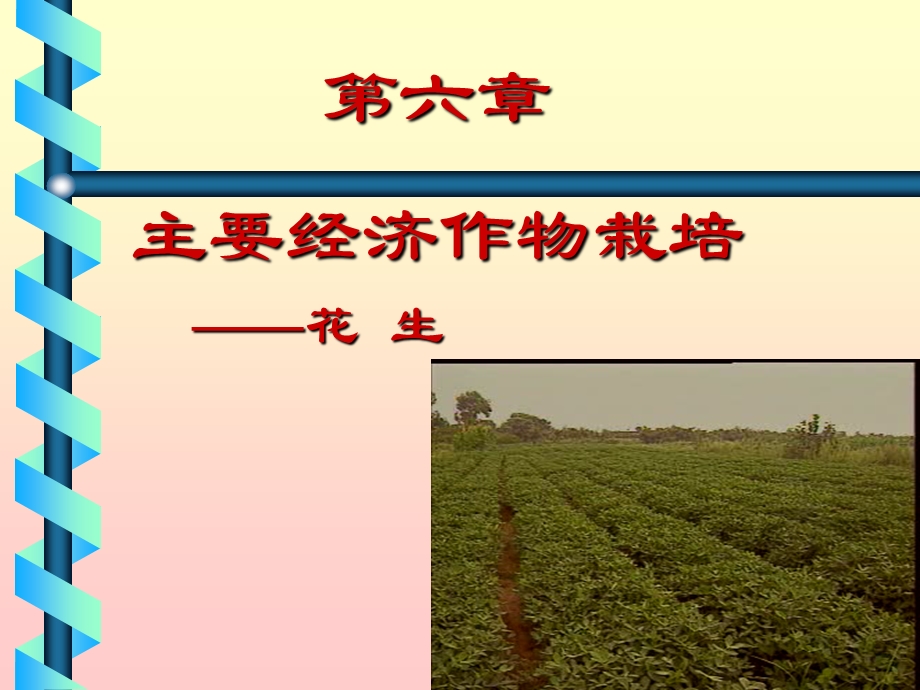 【教学课件】第六章主要经济作物栽培.ppt_第1页