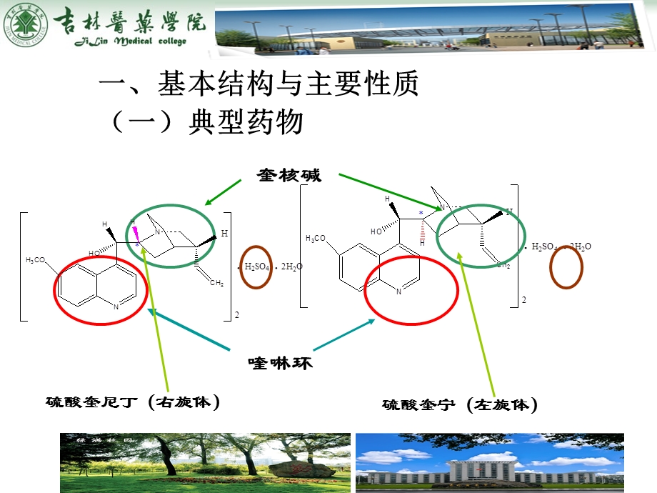 第十二部分喹啉与青蒿素类抗疟类药物的分析教学课件.ppt_第3页