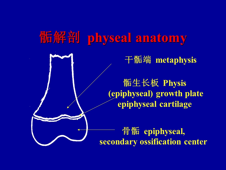 骨骺损伤.ppt_第3页