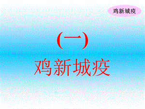 《鸡新城疫》PPT课件.ppt