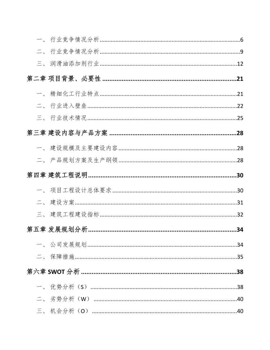 厦门油品添加剂项目可行性研究报告.docx_第2页