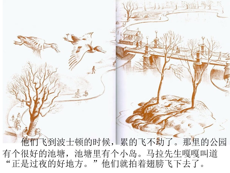 《让路给小鸭子》PPT课件.ppt_第3页