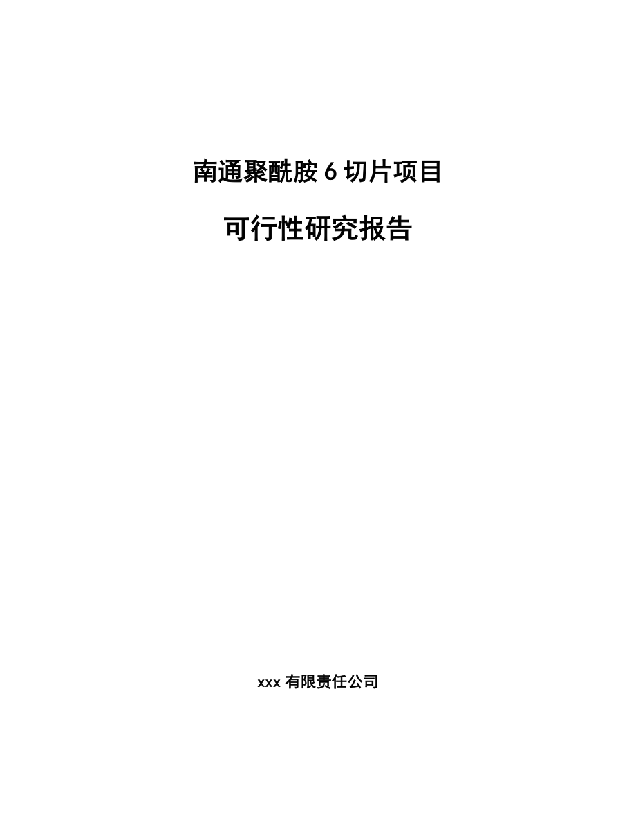 南通聚酰胺6切片项目可行性研究报告.docx_第1页