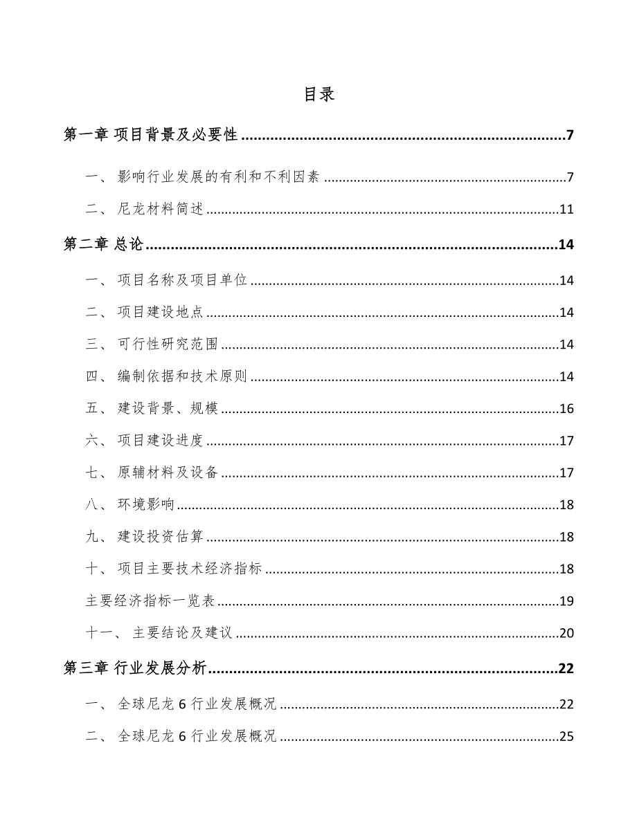 南通聚酰胺6切片项目可行性研究报告.docx_第2页