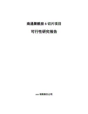 南通聚酰胺6切片项目可行性研究报告.docx