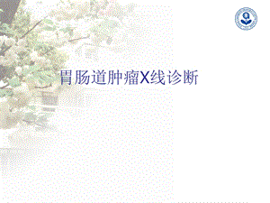 胃肠道X线读片.ppt