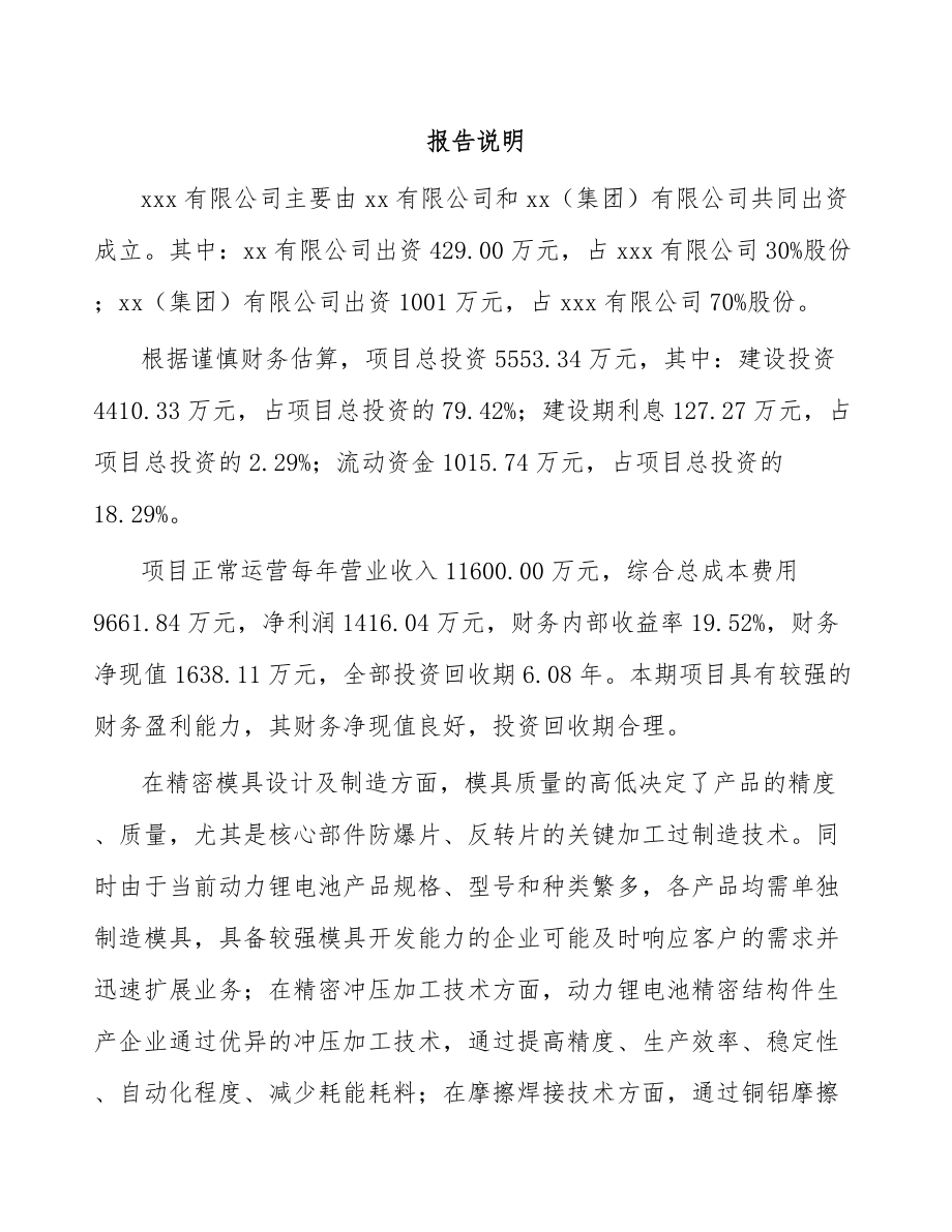 厦门关于成立精密冲压模具公司可行性研究报告.docx_第2页