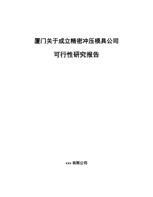 厦门关于成立精密冲压模具公司可行性研究报告.docx