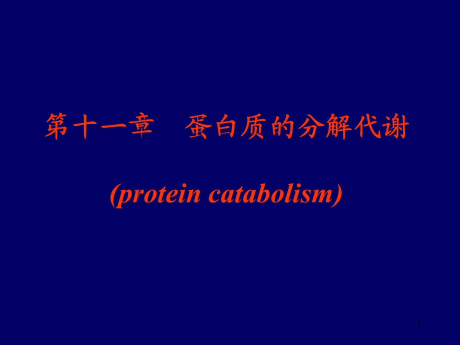 【教学课件】第十一章蛋白质的分解代谢(proteincatabolism).ppt_第1页